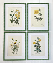 Load image into Gallery viewer, Set of 4 Vintage Botanical Prints in Green Bobbin Frames