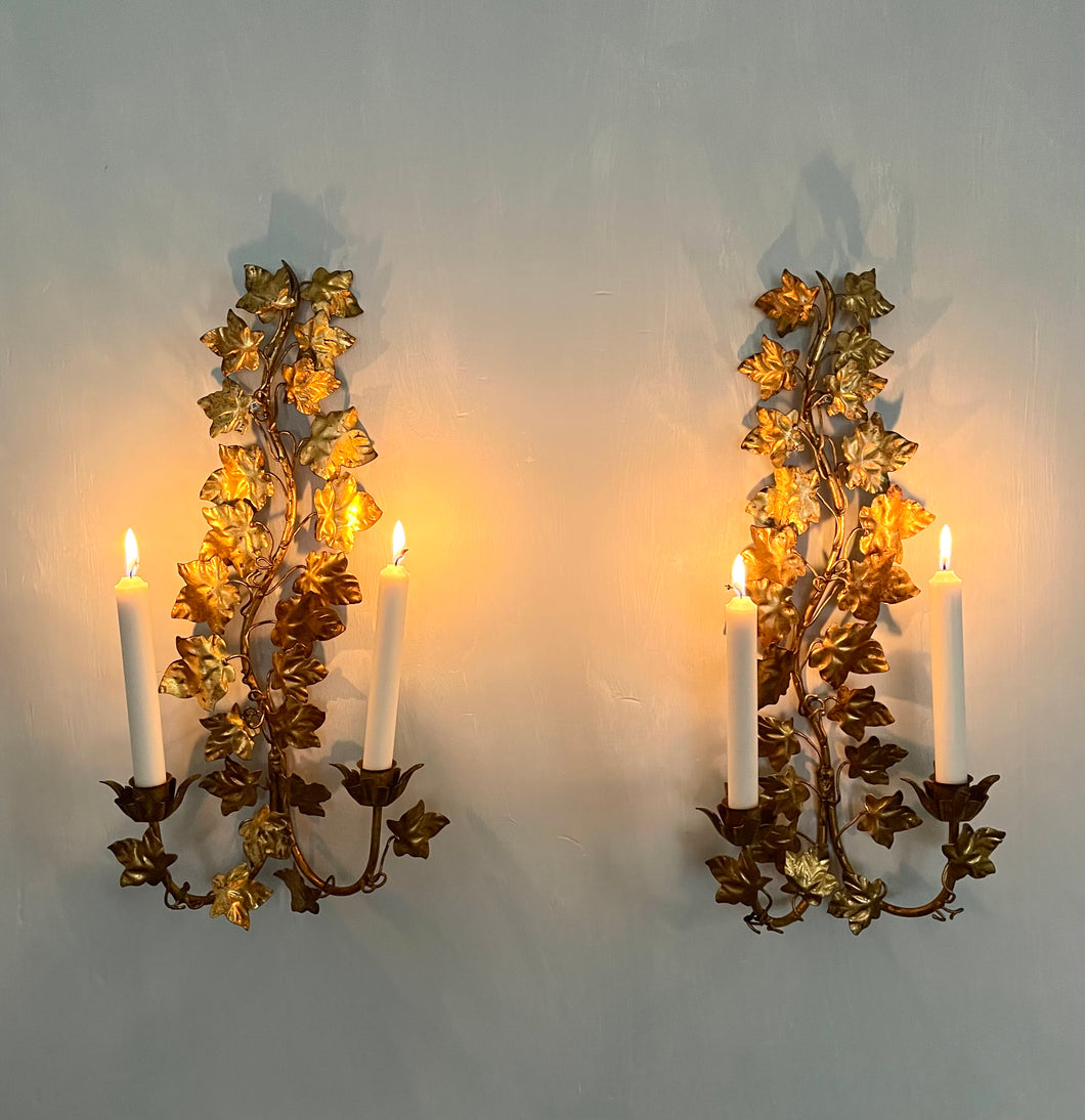 Pair of Florentine Gilt Ivy Wall Sconces