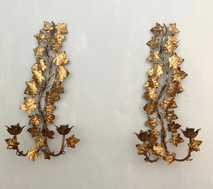 Pair of Florentine Gilt Ivy Wall Sconces