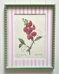 Pink Sweet Pea Botanical Print in Soft Green Bobbin frame