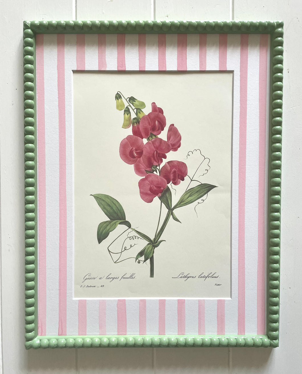 Pink Sweet Pea Botanical Print in Soft Green Bobbin frame