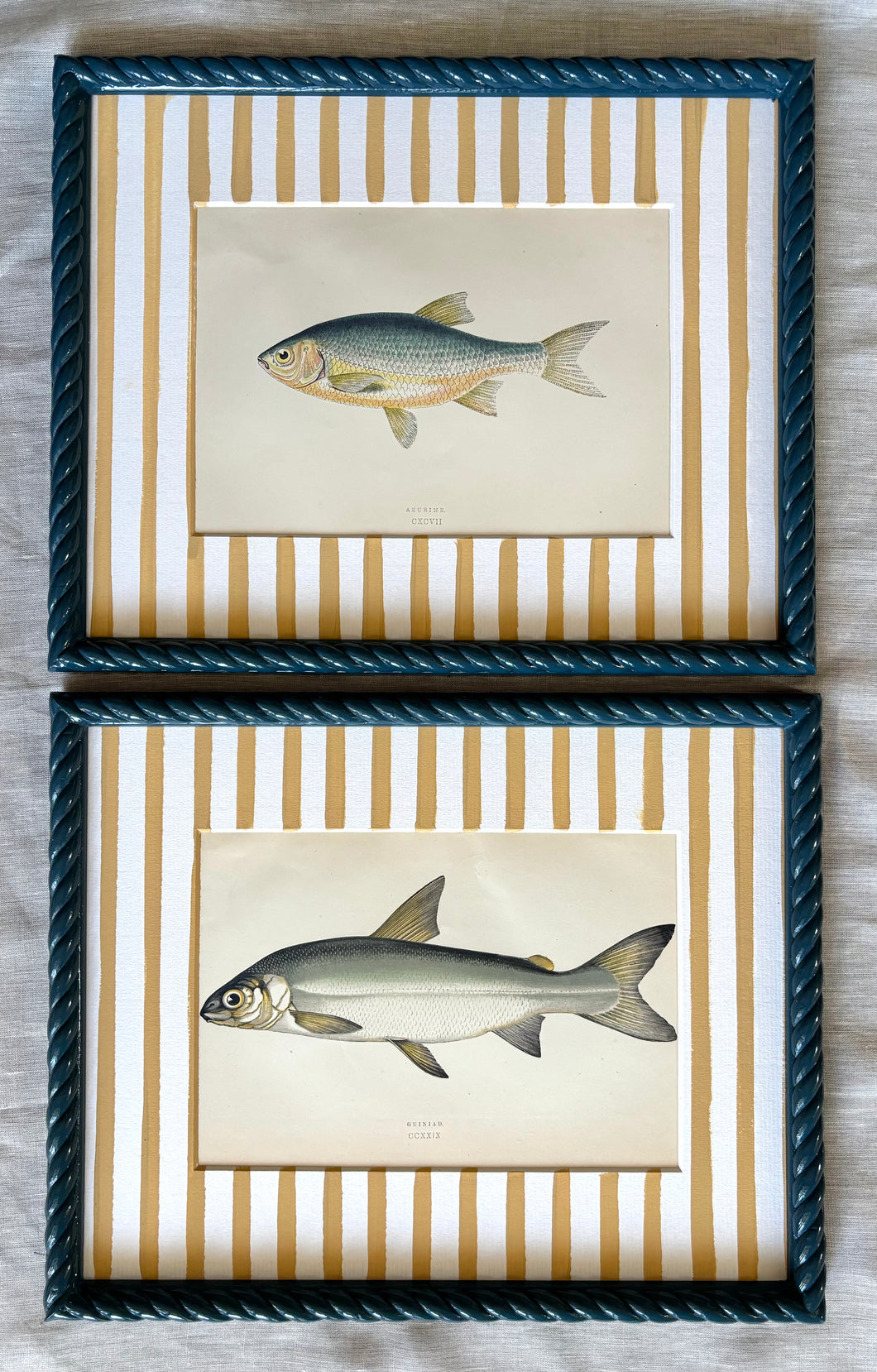 Antique Fish Prints in Storm Blue Twist Frame (2)