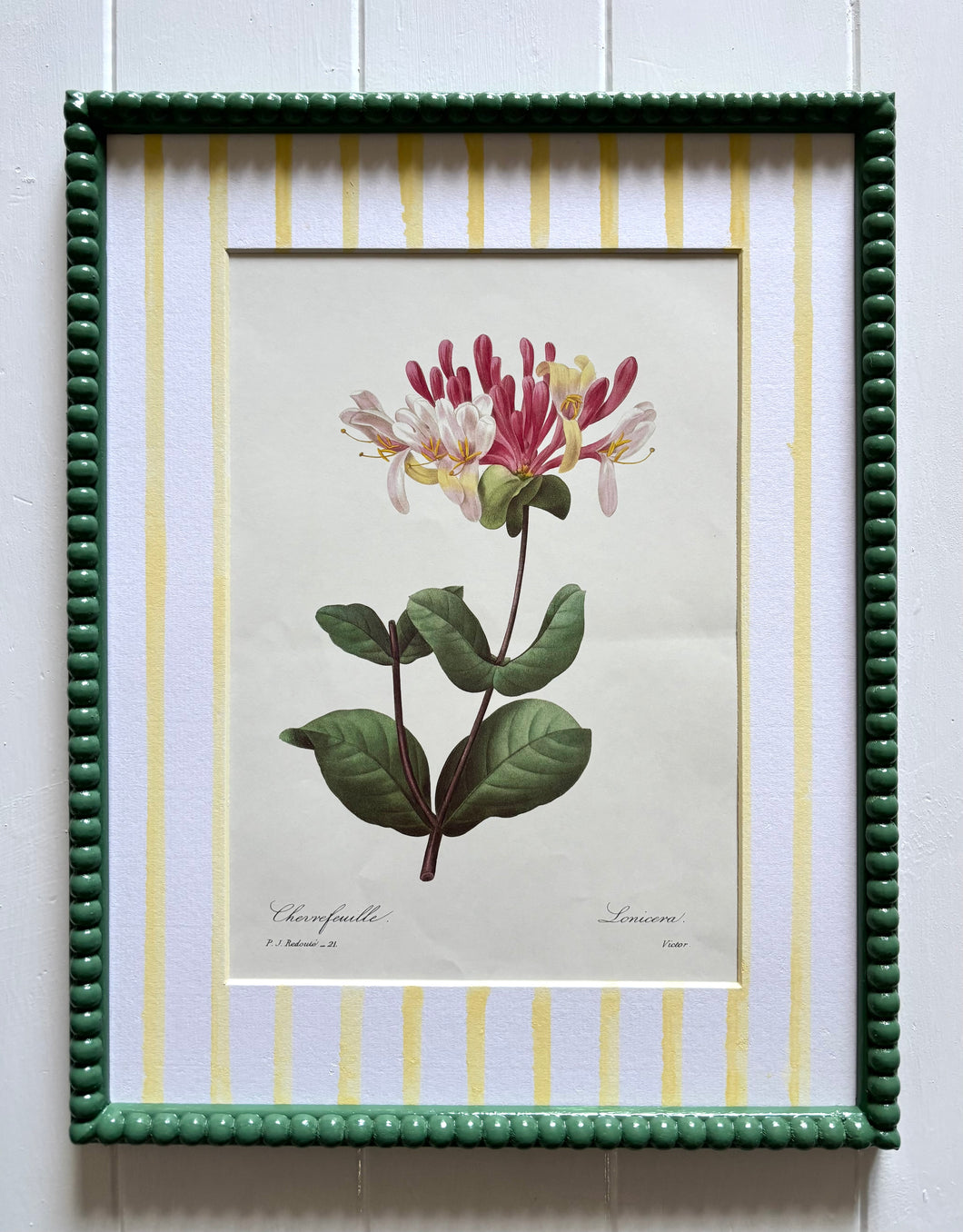Lonicera Botanical Print in Sage Green Bobbin Frame