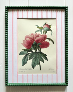 Pink Peony Botanical Print in Sage Green Bobbin Frame