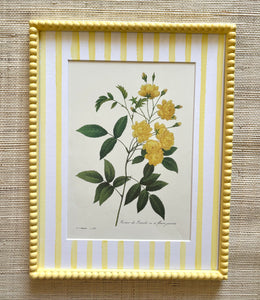 Yellow Roses Botanical Print in Butter Yellow Bobbin Frame