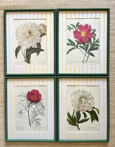 Set of 4 Peony Prints in Sage Green Bobbin Frames