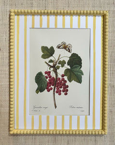 Vintage Red Currant Botanical Print in Butter Yellow Bobbin Frame