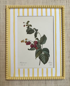 Vintage Raspberry Botanical Print in Butter Yellow Bobbin Frame
