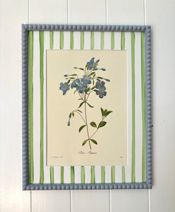 Phlox Botanical Print in soft Blue Bobbin Frame