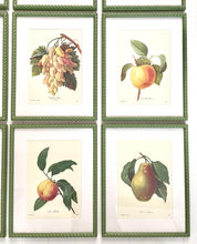 Load image into Gallery viewer, Set of 9 Vintage Botanical Prints in Olive Green Twist Frames
