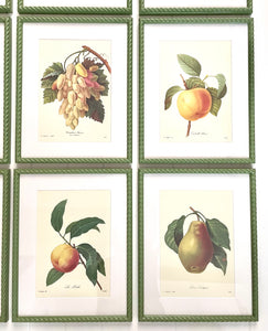 Set of 9 Vintage Botanical Prints in Olive Green Twist Frames