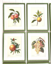 Load image into Gallery viewer, Set of 9 Vintage Botanical Prints in Olive Green Twist Frames
