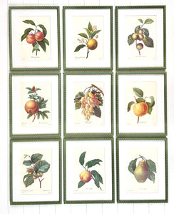 Set of 9 Vintage Botanical Prints in Olive Green Twist Frames
