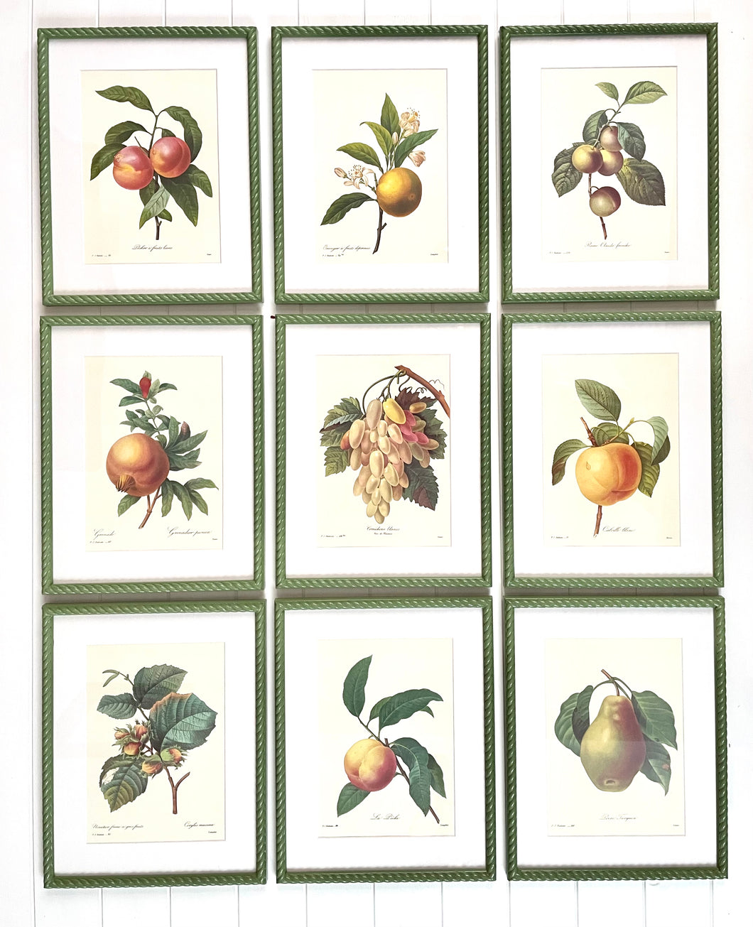 Set of 9 Vintage Botanical Prints in Olive Green Twist Frames
